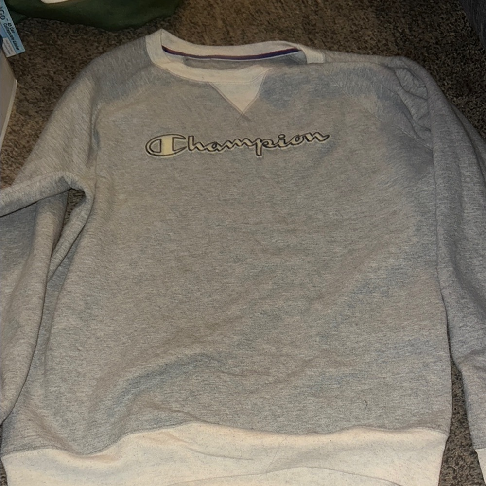 Champion Gray Sweatshirt